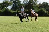 UKPA  NC Sat_1264
